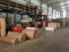 Giấy cuộn Giấy cuộn