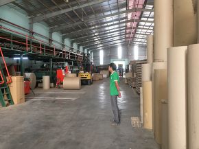 Giấy cuộn Giấy cuộn